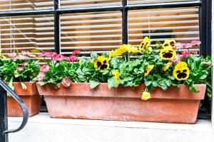 The Perfect Queensway Studio Apartment