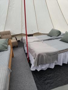 Kallion Kamujen Glamping teltta-alue