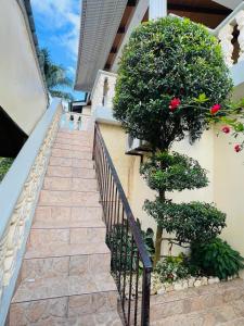 Encantadora Terraza de Brisas Frescas