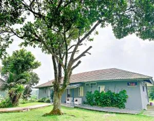 Rumah Selasar Sawah - Cilember Udik 1