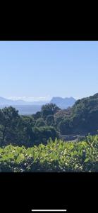 Finca vista de la roca