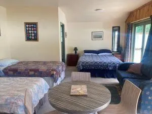 Quail Country Studio - Omokoroa