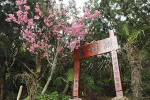 阿里山渊明居客棧 - Lo-yeh-ts'un