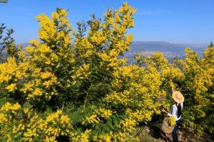 Hotels Staybridge Suites - Cannes Centre by IHG : photos des chambres