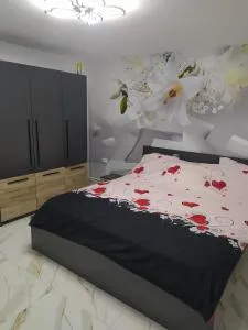 Casa Andreea - Tashaul