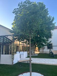B&B / Chambres d'hotes Les Marronniers : photos des chambres