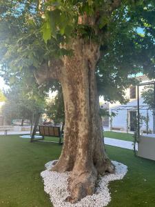 B&B / Chambres d'hotes Les Marronniers : photos des chambres