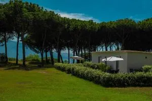 Bosco Mattavona - Casa Balzano