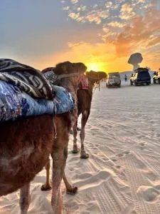 safari &hotel - El Hez