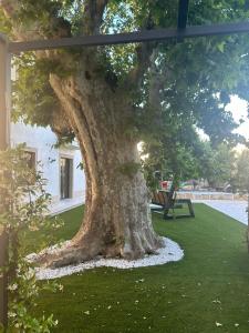 B&B / Chambres d'hotes Les Marronniers : photos des chambres