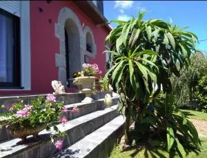 les hortensias - Plabennec