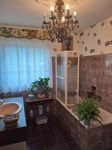 B&B / Chambres d'hotes les hortensias : photos des chambres