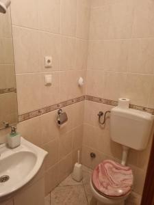 Olive Tree Apartment