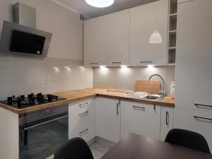 Modern Summer Apartment Wroclaw
