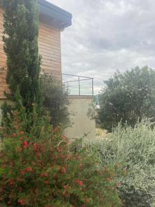 Villas Casa Turrigiani : photos des chambres