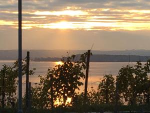 Atelierhaus Meersburg