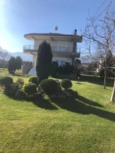 Luxury villa in leptokarya pierias - Kariá