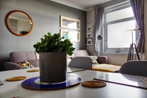 The Seagulls Nest - Hastings