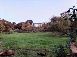 Neubau-Ferienwohnung mit Panorama-Seeblick