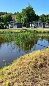 Sosnowy Zakątek Stegna- domki letniskowe - Junoszyno