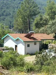 Togo iztuzu Stonehouse-1 - Ovacık