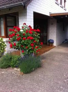 Fördeschwalbe - Rabendorf