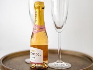 Design-Apartment in Linz mit Netflix & Balkon