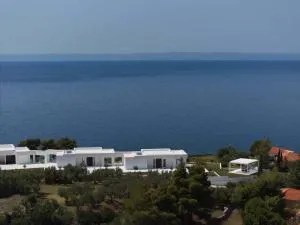 OLYN VILLAS - 尼基季