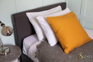 Luke Stays - Holystone Haven