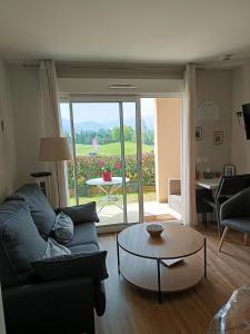 Appartements Appartement 3 etoiles, 2 chambres , cuisine amenagee, terrasse, face a la chaine des Pyrenees : photos des chambres