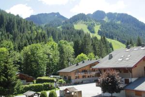 Portes Du Soleil PSB204 TELECABINE & MOUNTAIN 4 per