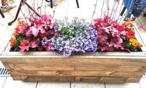 Appartements Appartement 3 etoiles, 2 chambres , cuisine amenagee, terrasse, face a la chaine des Pyrenees : photos des chambres