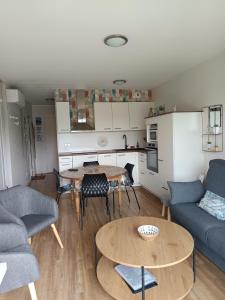 Appartements Appartement 3 etoiles, 2 chambres , cuisine amenagee, terrasse, face a la chaine des Pyrenees : photos des chambres