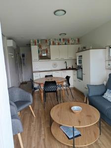 Appartement 3 étoiles, 2 chambres , cuisine aménagée, terrasse, face à la chaîne des Pyrénées