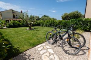 Apartment Lotta with garden
