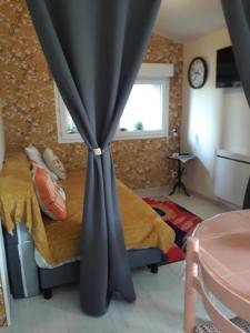 Petit gîte La vigne est belle - 2 étoiles- Sud Charente