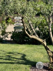 Apartment Lotta with garden