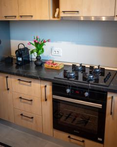 Alina Residence Coresi