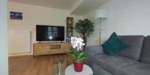 Ferienwohnungen Andrea