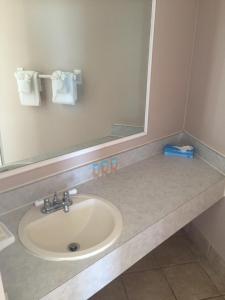 SeaScape Inn - Daytona Beach Shores
