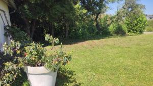 Maison plain pied, 2 chambres, longère typique , fraiche, dans bourg avec tous commerces