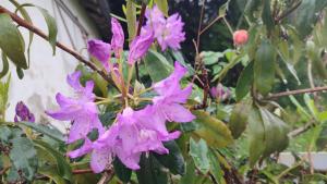 Maison plain pied, 2 chambres, longère typique , fraiche, dans bourg avec tous commerces