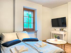 Large Apartment 2 bedrooms and living room, Kazimierz District