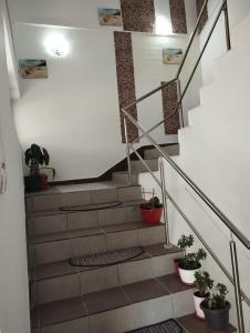 2 bedrooms Luxury & 7 Apartments Vila Camelia Eforie Sud