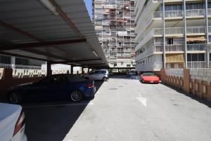 ALBATROS - Fincas Arena