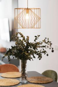 Edificio Botánica Alicante Centro by Renthas