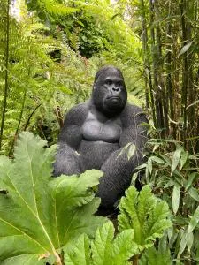 Jungle Cabin - West Langdon