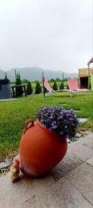 Mountain villa Jordan- with JACUZZI