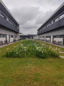 Storebælt Sinatur Hotel & Konference