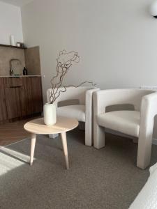 Apartamentai-studija Palangos kopos